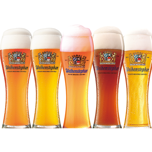 限定ビール入り<br>5飲み比べセット