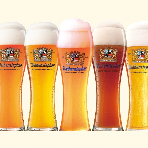数量限定 5飲み比べセット
