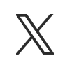 x icon